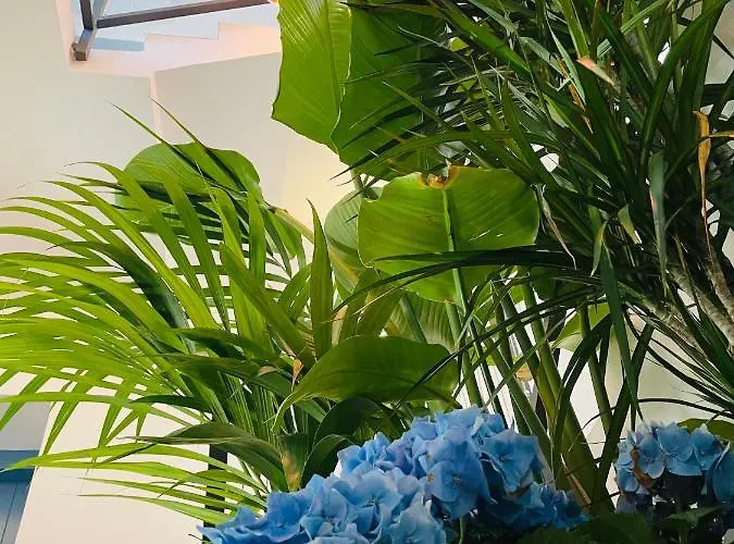 Gala Bravo Murillo - Parking Gratis Lägenhet